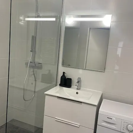 Charmant T2 Renove Apartament