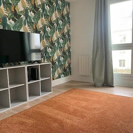 Charmant T2 Renove